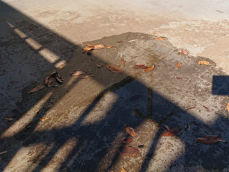 陸屋根の水はけが悪い