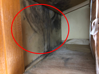 カビが発生してしまった押し入れ側面