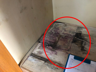 カビが発生してしまった押し入れ床面