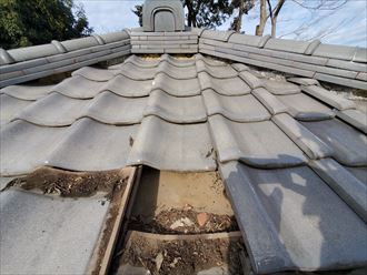 千葉市若葉区若松町の平屋にて台風によって発生した雨漏りの調査を実施
