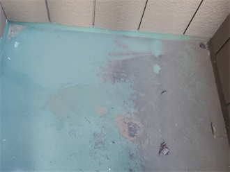 防水層の劣化と色あせ