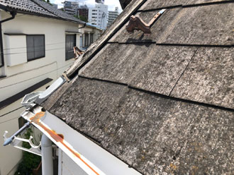 棟板金が大きく破損しています