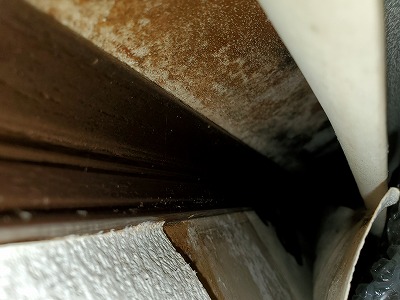 剥がれている箇所の裏の写真です。湿り気がある状態です。