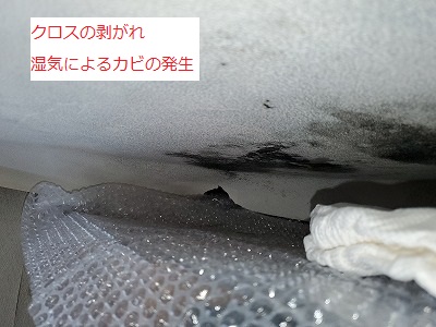 クロスが剥がれ、湿気によりカビが発生しています。