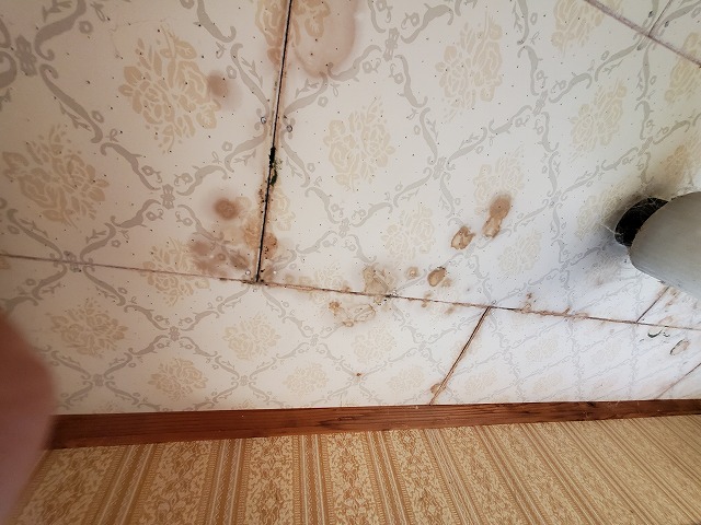 天井に染みが発生しています。