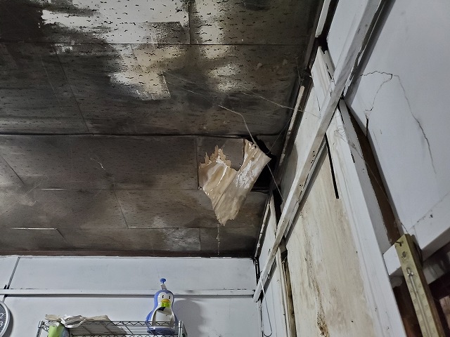 天井材が剥がれてしまっています。