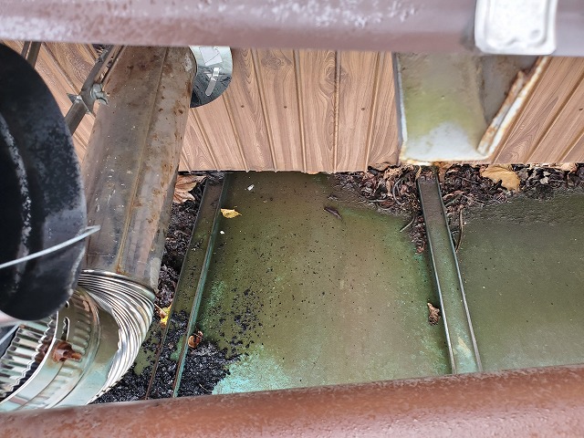 壁際の写真です。ここから水が伝い、中に浸入した模様です。