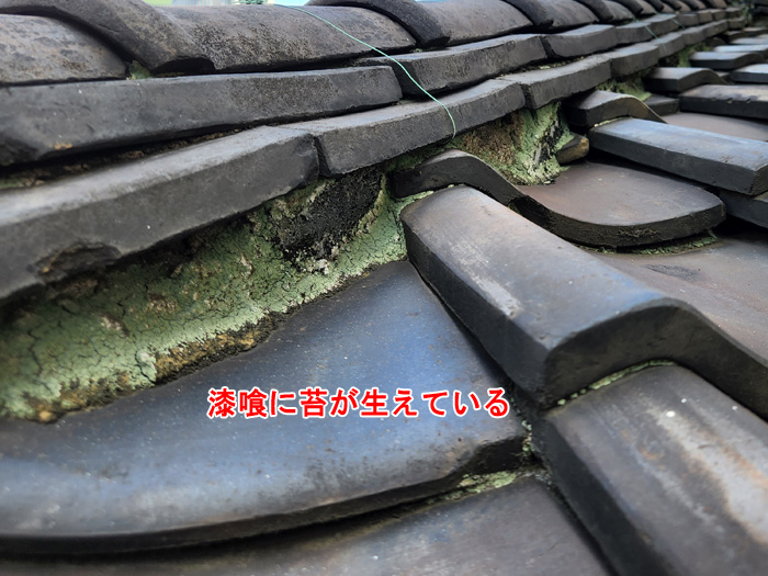 漆喰の劣化と苔の発生