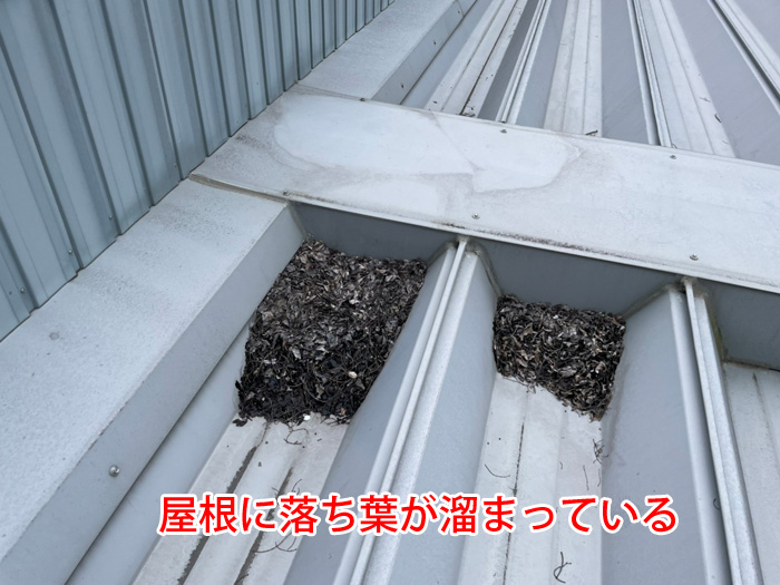工場の雨漏りは落ち葉詰まりが原因？印旛郡酒々井町柏木での調査事例と対策