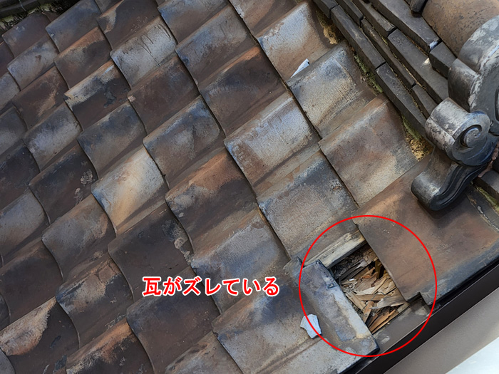 雨漏りの原因は瓦屋根の漆喰の苔？松戸市稔台で見つかった劣化症状と対策