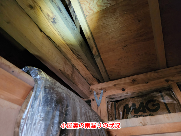 小屋裏にまで到達した雨漏りの状況