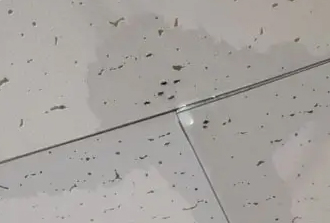 天井のシミから滴り落ちる水滴