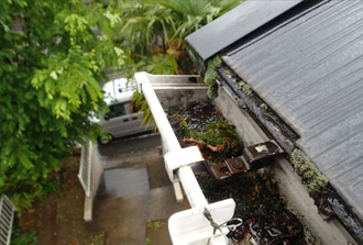 雨樋に苔や泥が詰まっている