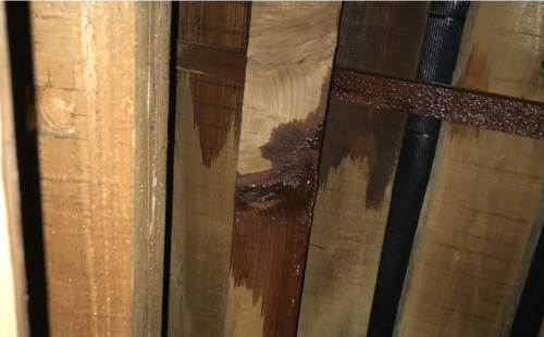 防水紙の劣化により小屋裏から雨漏り 防水紙の劣化により小屋裏から雨漏り