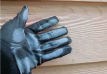 木材部分を触診 木材部分を触診