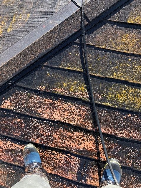 屋根の洗浄前と後