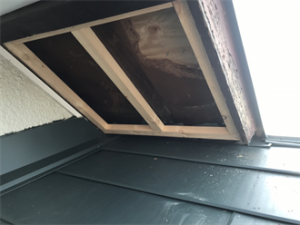 腐食した軒天を交換