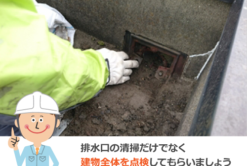 排水口の清掃だけでなく建物前提を点検してもらいましょう
