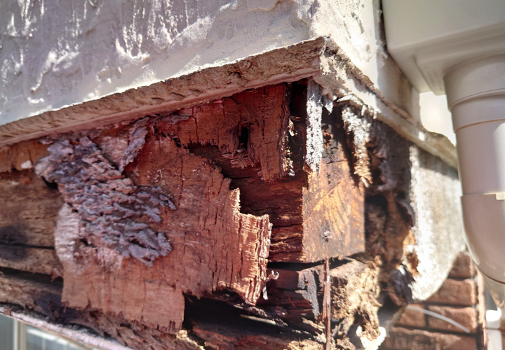 剥離した幕板部分