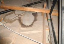 天井裏の雨漏り跡 天井裏の雨漏り跡