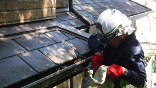 雨樋を清掃する様子