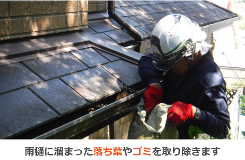 落ち葉の溜まった雨樋の掃除 落ち葉の溜まった雨樋の掃除