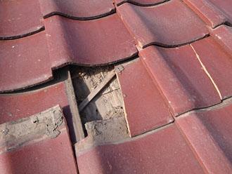 瓦には破損した様子も見受けられます