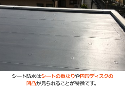 シート防水はシートの重なりや円形ディスクの凹凸面が見られることが特徴です シート防水はシートの重なりや円形ディスクの凹凸面が見られることが特徴です