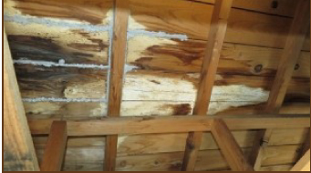 天井裏の雨漏り