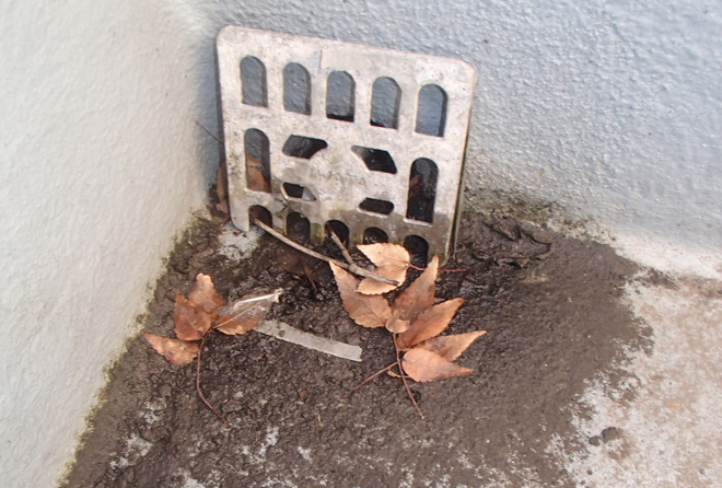 ドレンが落ち葉や泥で詰まっています