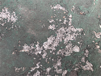 防水層表面の劣化