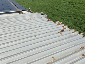 折板屋根の点検