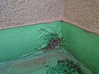 排水口の劣化