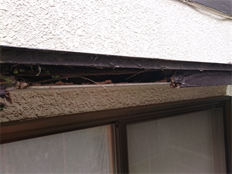 庇の下地木材が露出