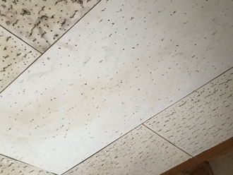 天井の補修