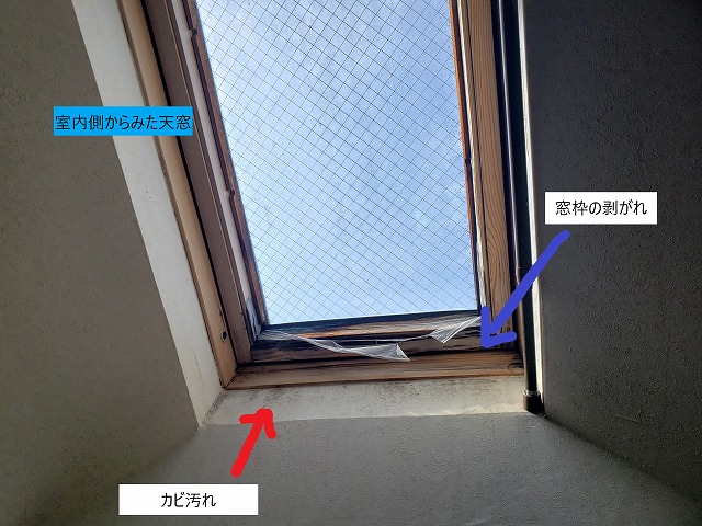 雨漏りが原因と思われる壁紙の剥がれ