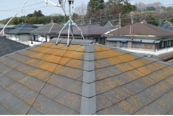 苔の生えたスレート屋根