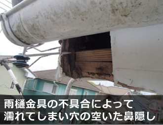 雨樋金具の不具合によって穴の開いた鼻隠し 雨樋金具の不具合によって穴の開いた鼻隠し