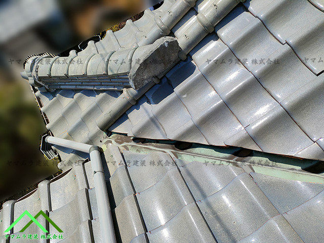 色が緑色に変色