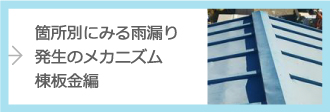 雨漏り発生のメカニズム、棟板金について