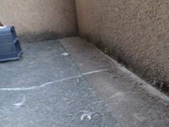 富津市二間塚で雨漏り調査、ベランダ・バルコニーは雨漏りが発生しやすい箇所です