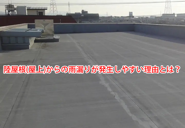 陸屋根(屋上)からの雨漏りが発生しやすい理由とは？実際の現地調査の様子と併せてご紹介！
