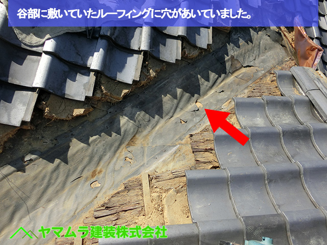 06豊明市　谷鈑金交換　谷部に敷いていたルーフィングに穴があいていました。