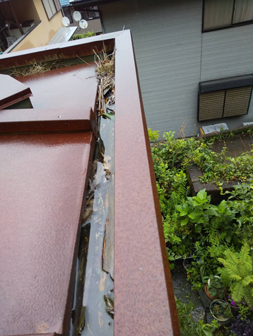 長泉町雨漏り詰まり排水不良