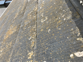 屋根材の劣化