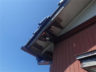軒下からの屋根