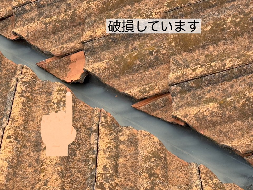 破損したセメント瓦