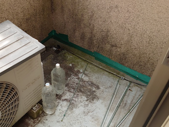 養生されている