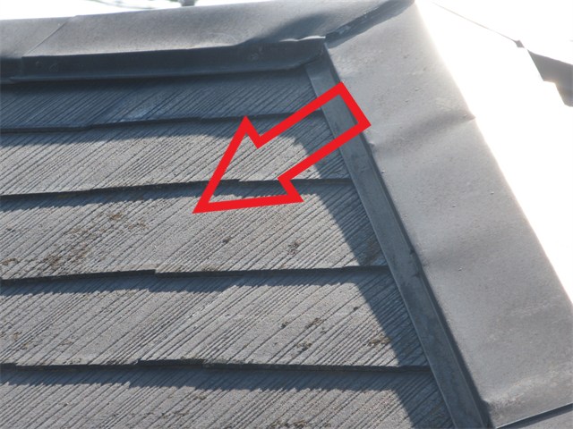 さいたま市南区　苔