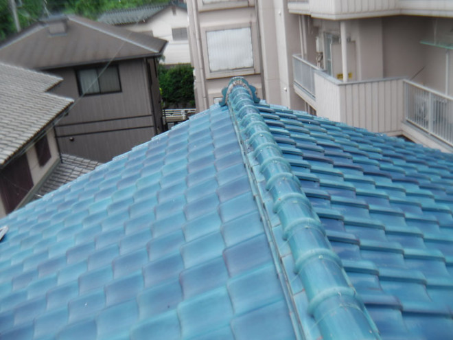 屋根全体の様子